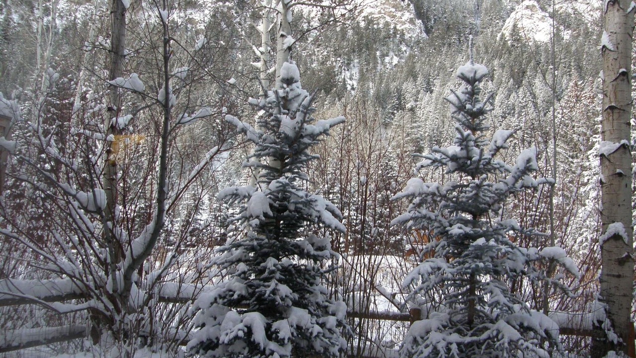 Photo of Outdoor in Ketchum