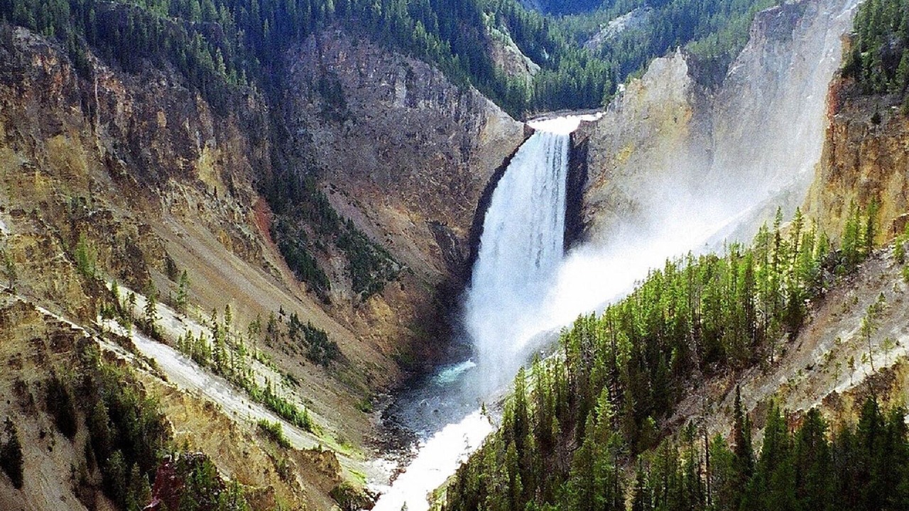 Photo of Others in West Yellowstone