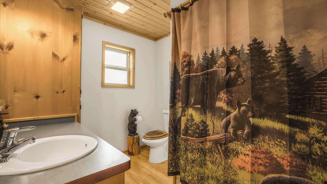 Photo of Bathroom in Island Park