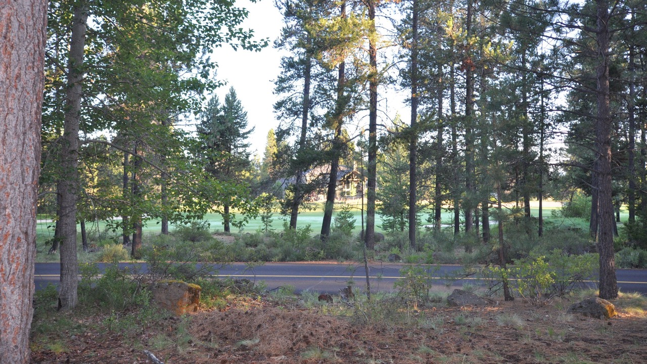 Photo of Others in Sunriver