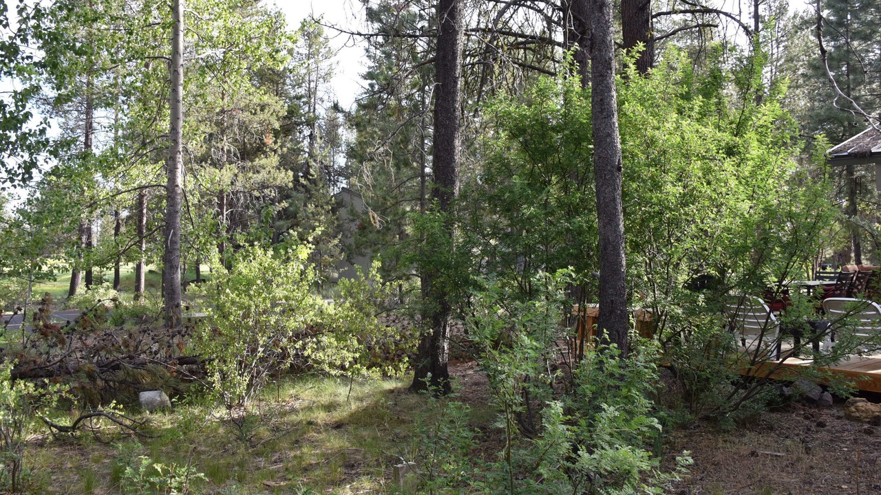 Photo of Outdoor in Sunriver