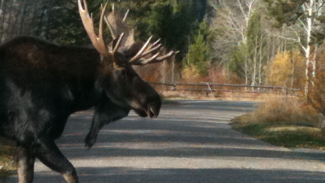 Photo of Others in Jackson