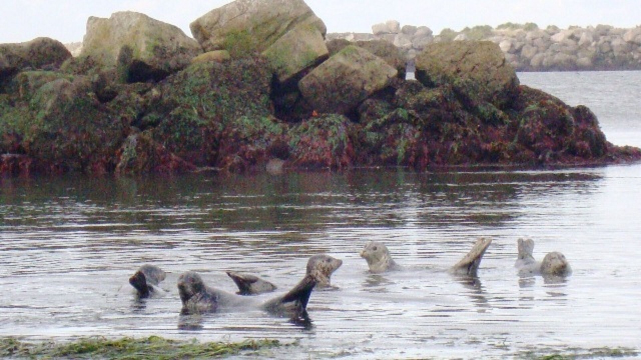 Photo of Others in Newport