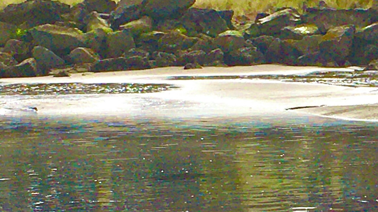 Photo of Others in Newport