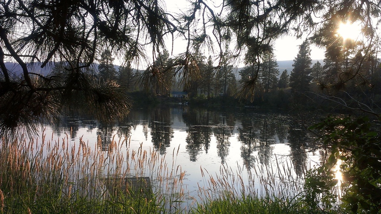 Photo of Outdoor in Republic
