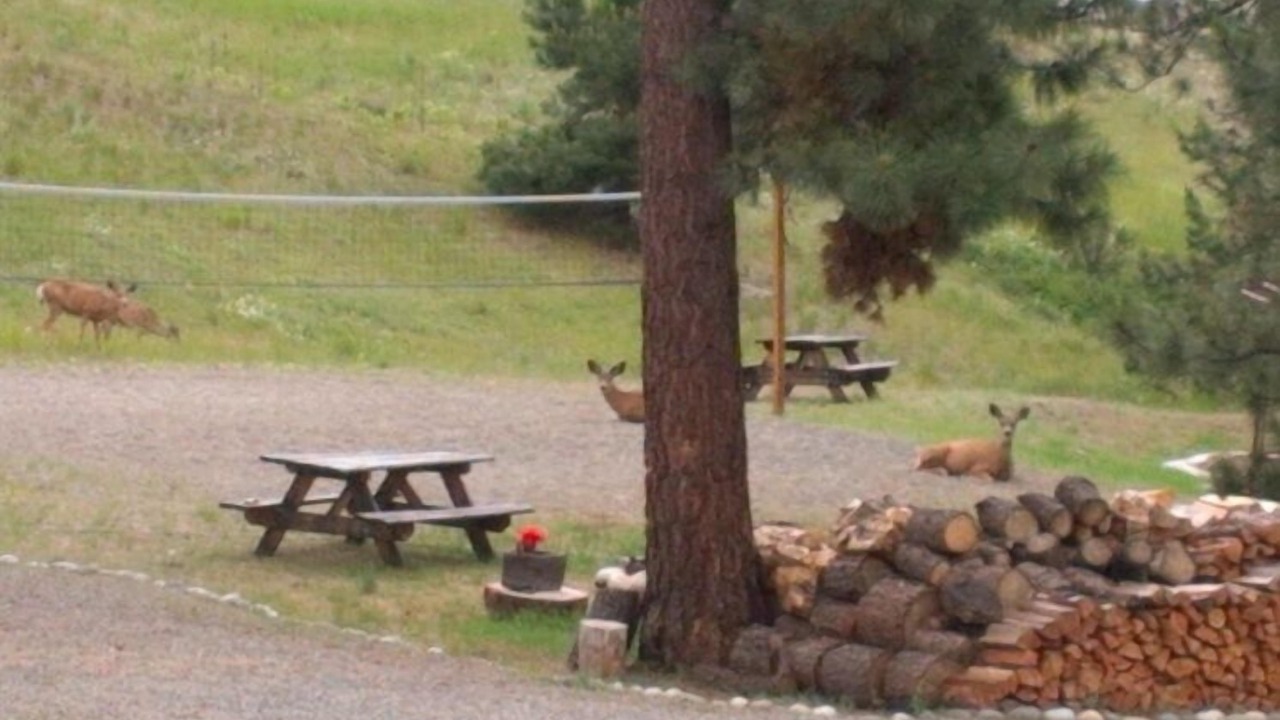 Photo of Others in Republic
