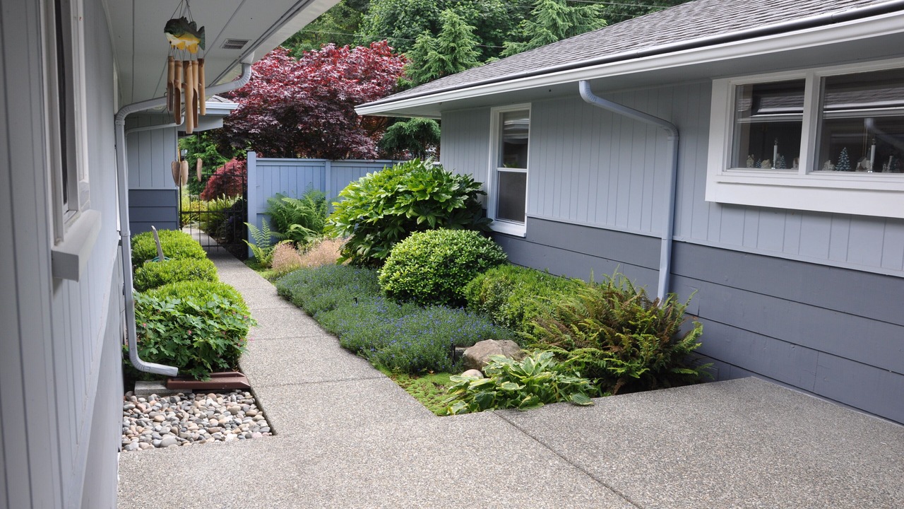 Photo of Outdoor in Hansville