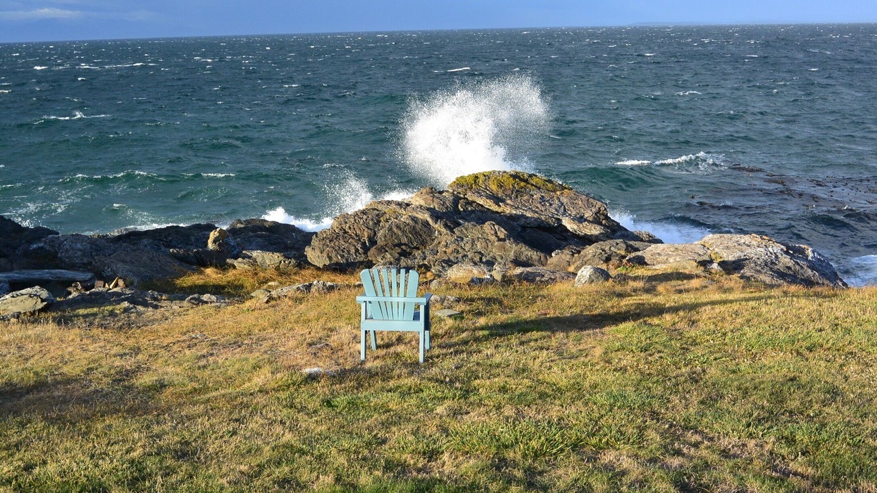Photo of Others in Friday Harbor