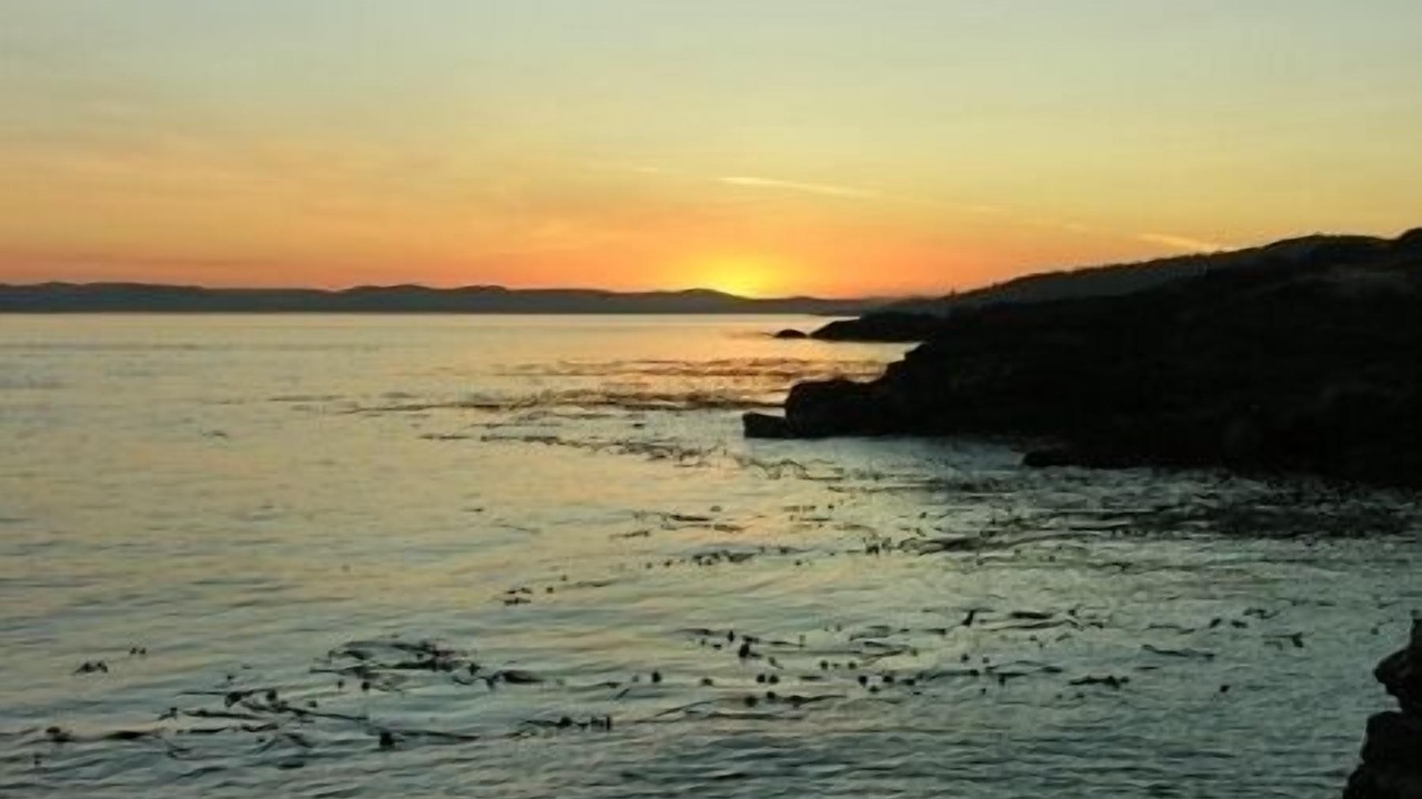 Photo of Others in Friday Harbor