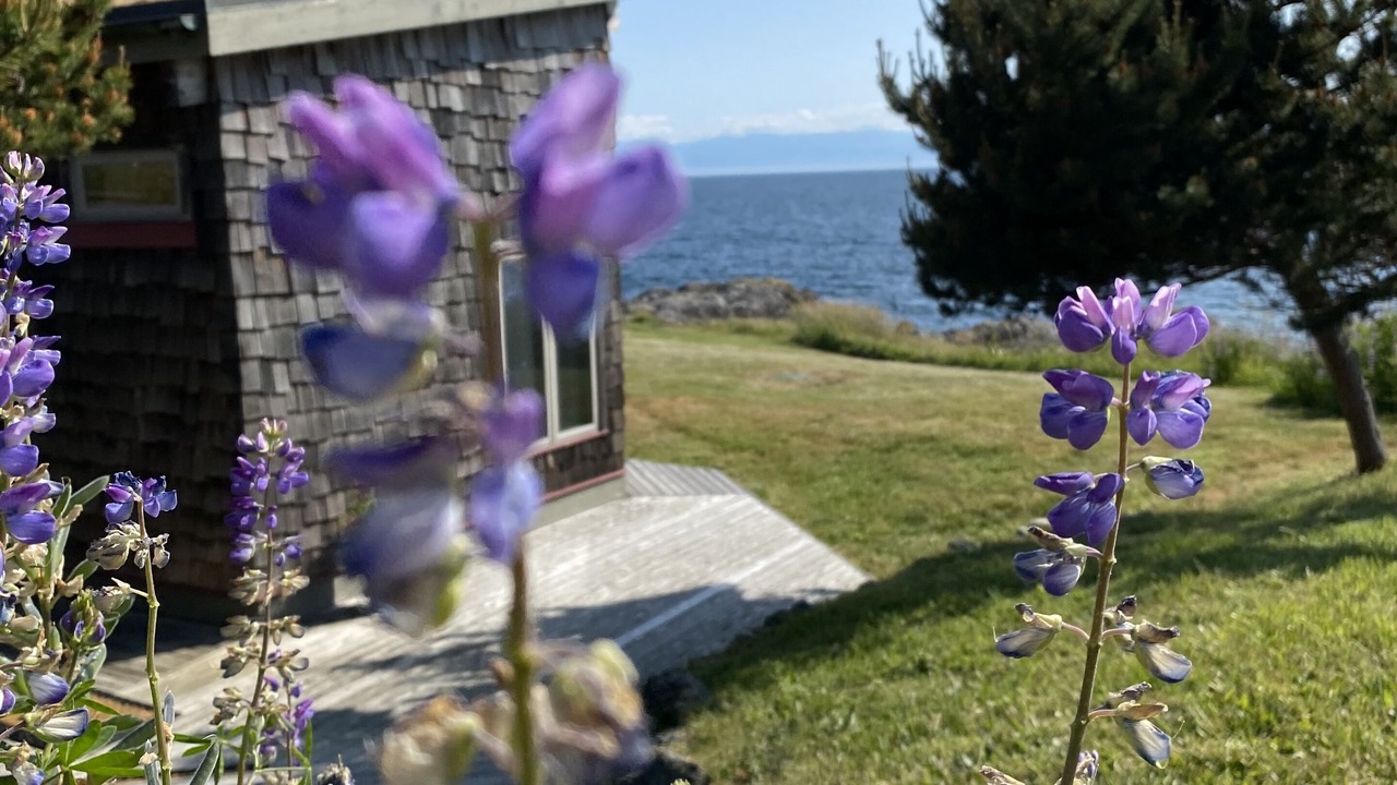 Photo of Outdoor in Friday Harbor