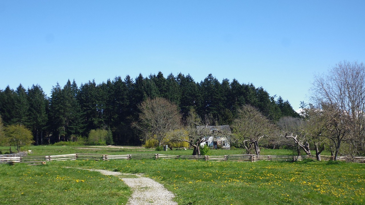 Photo of Others in Point Roberts