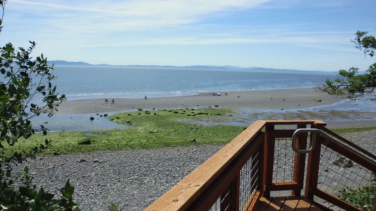 Photo of Others in Point Roberts
