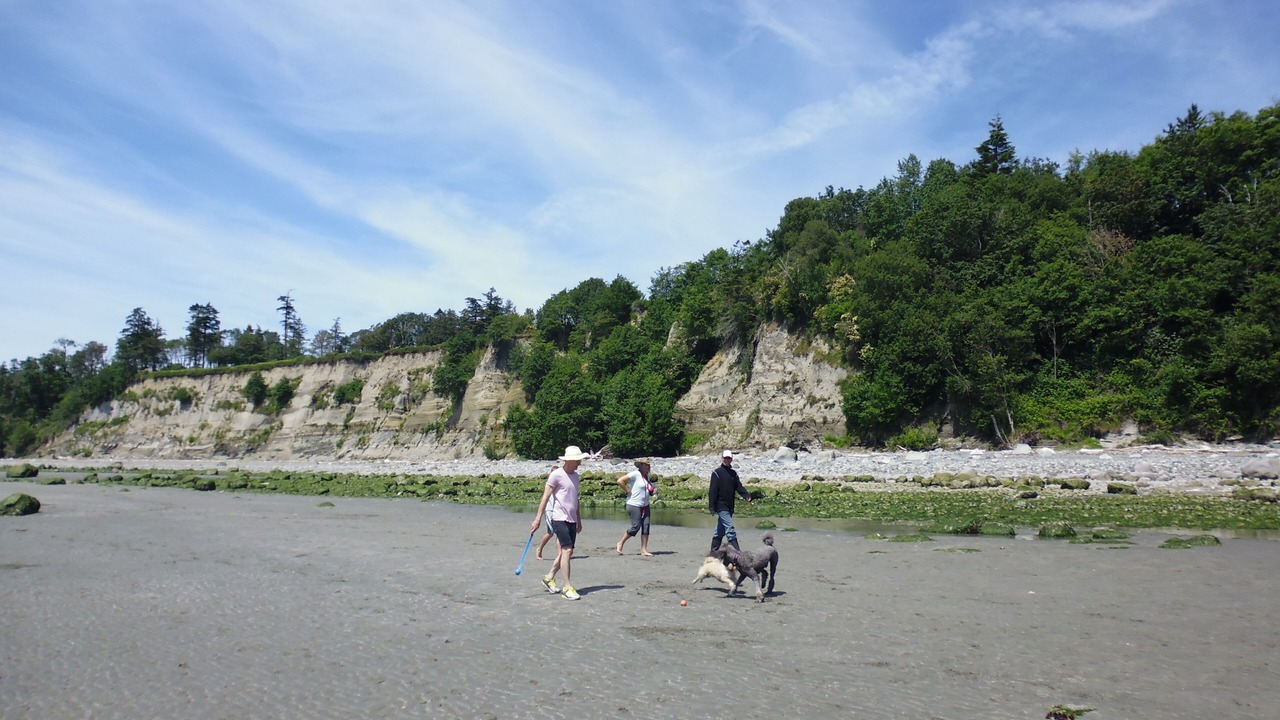 Photo of Others in Point Roberts