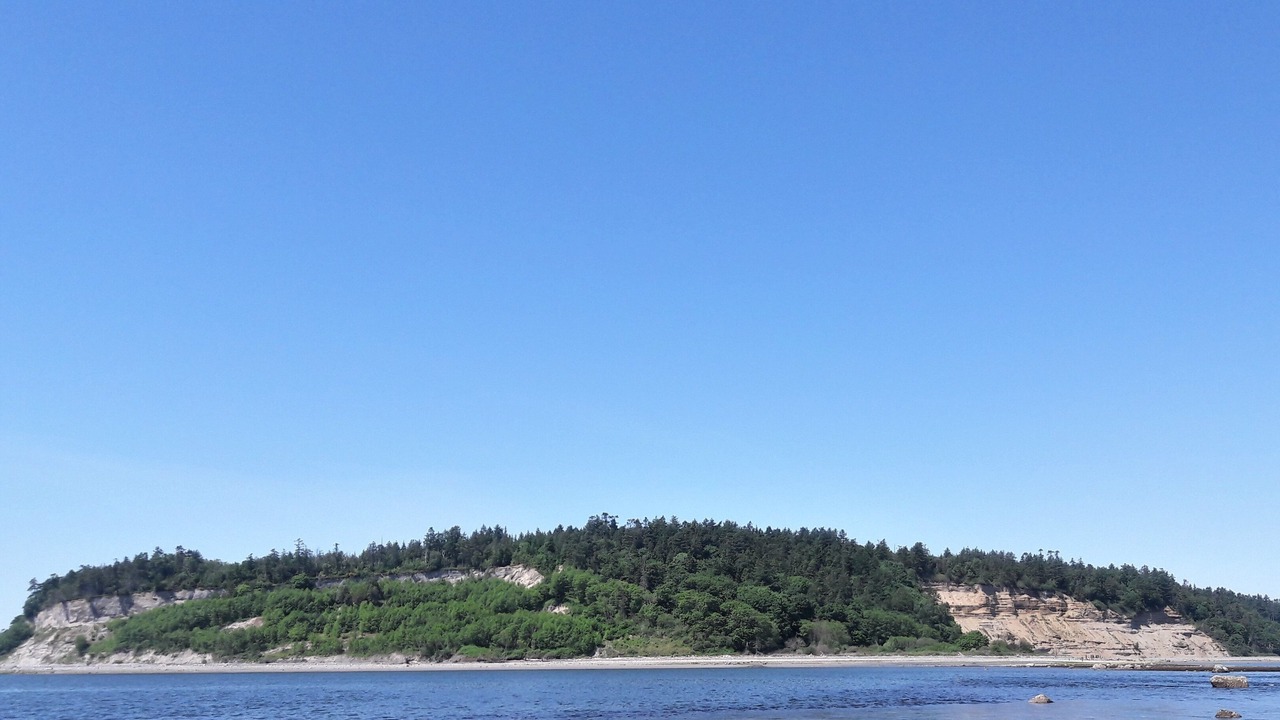 Photo of Others in Point Roberts