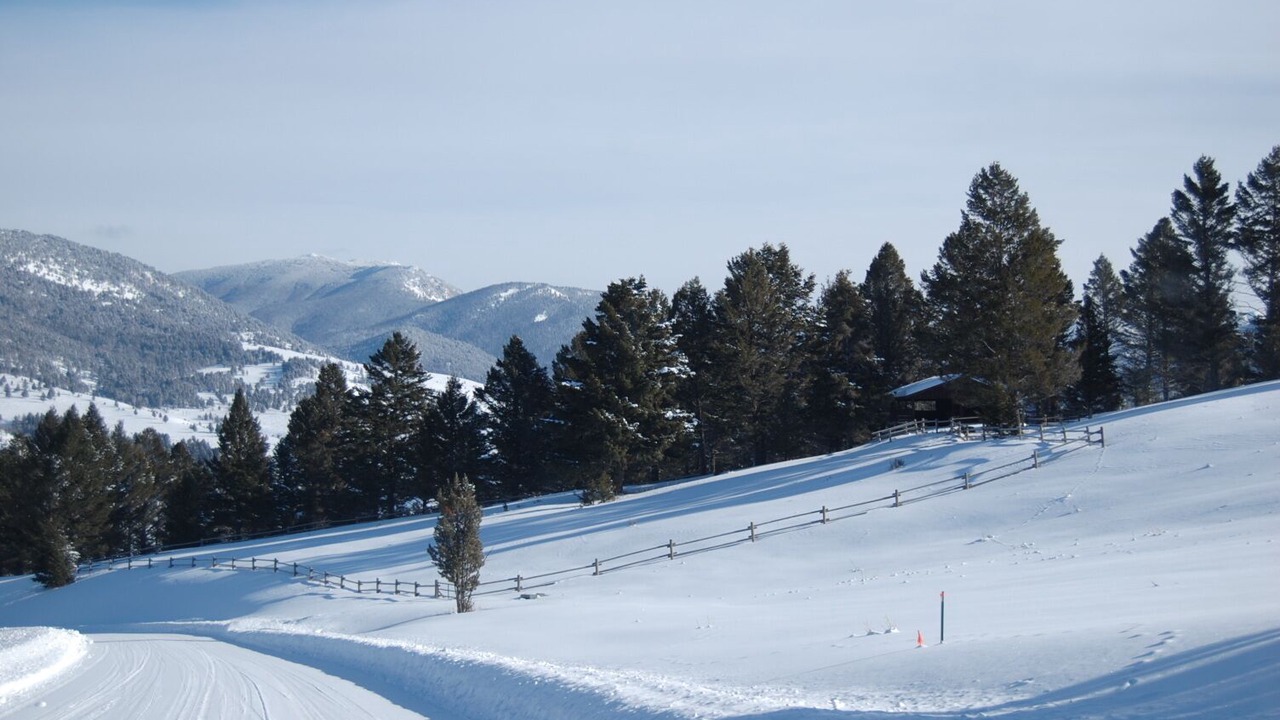 Photo of Others in Porcupine Park