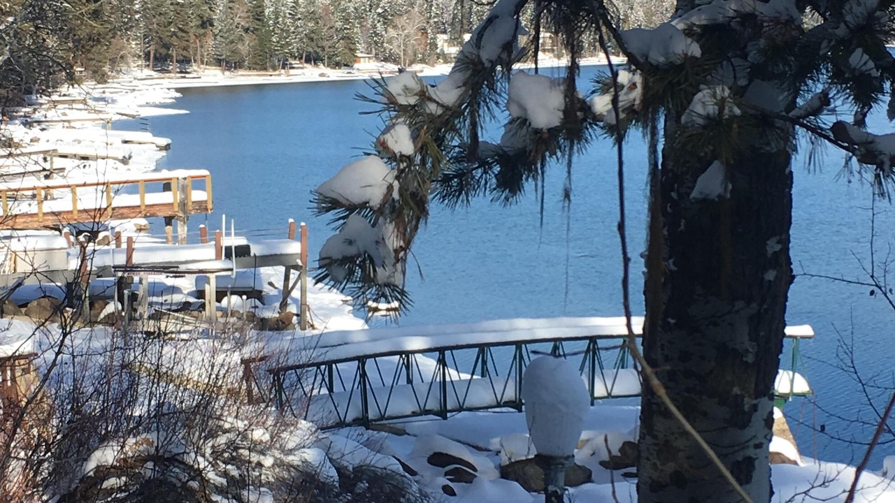 Photo of Others in McCall