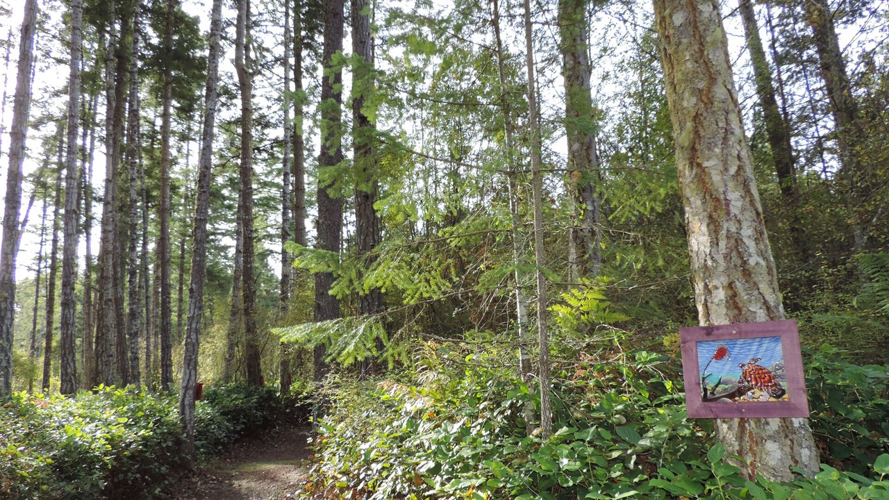 Photo of Others in Friday Harbor
