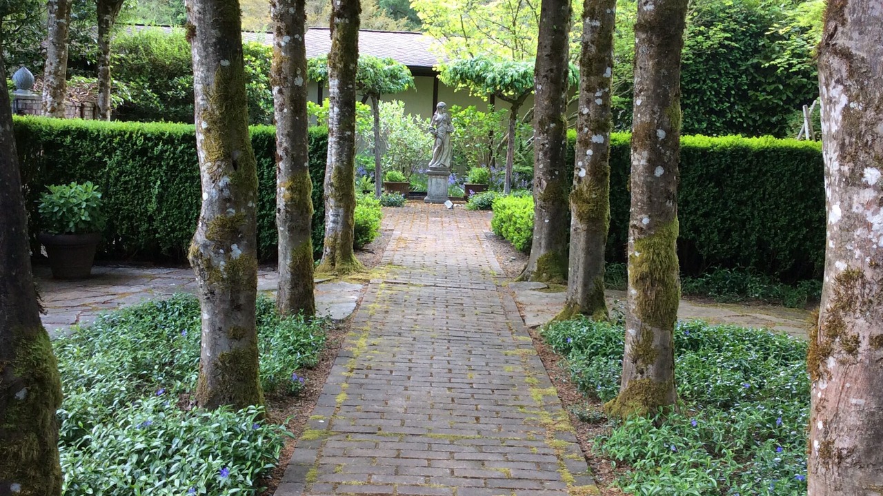 Photo of Outdoor in Lakewood