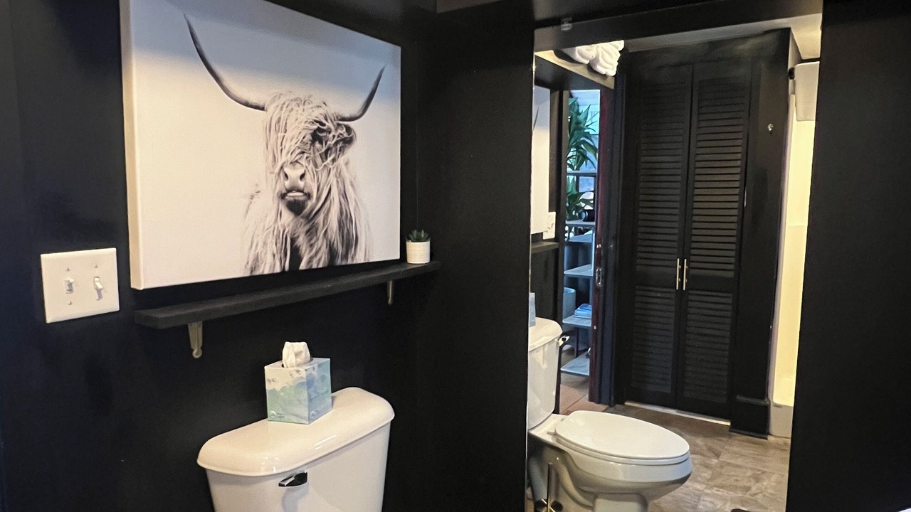 Photo of Bathroom in Laurium