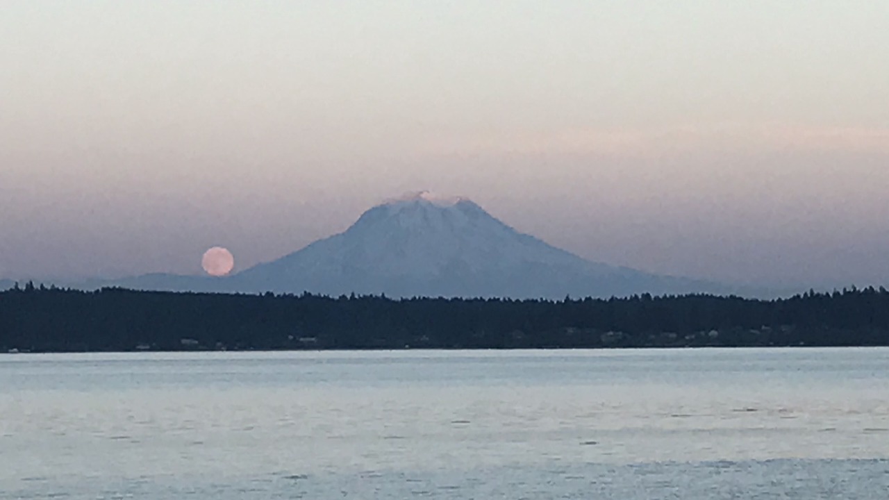 Photo of Others in Lakebay
