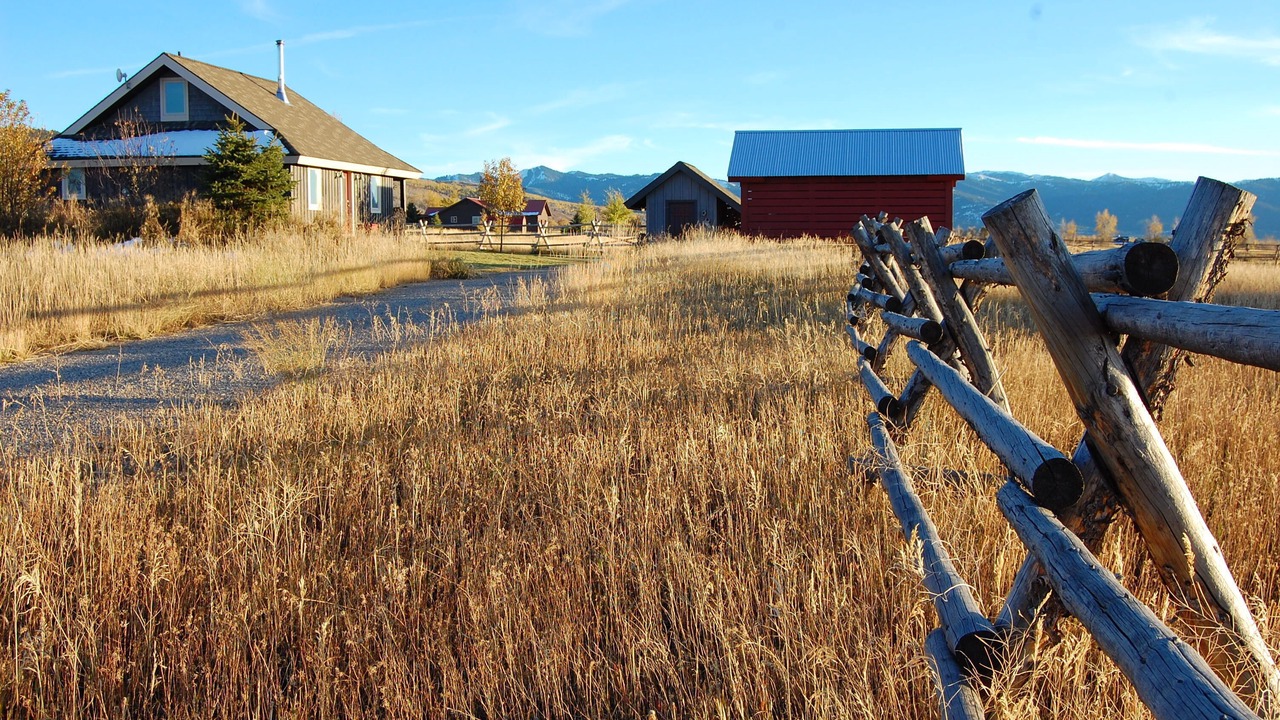 Photo of Outdoor in Victor