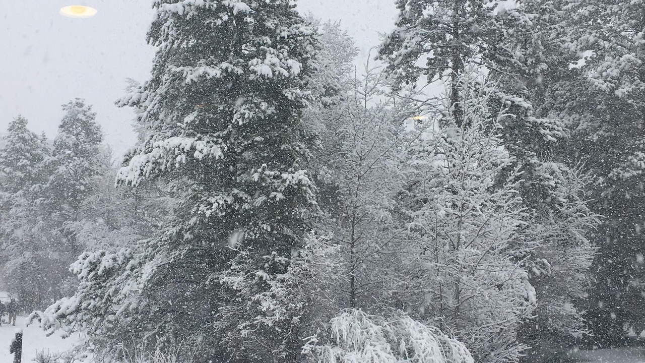 Photo of Others in Moose Wilson Road