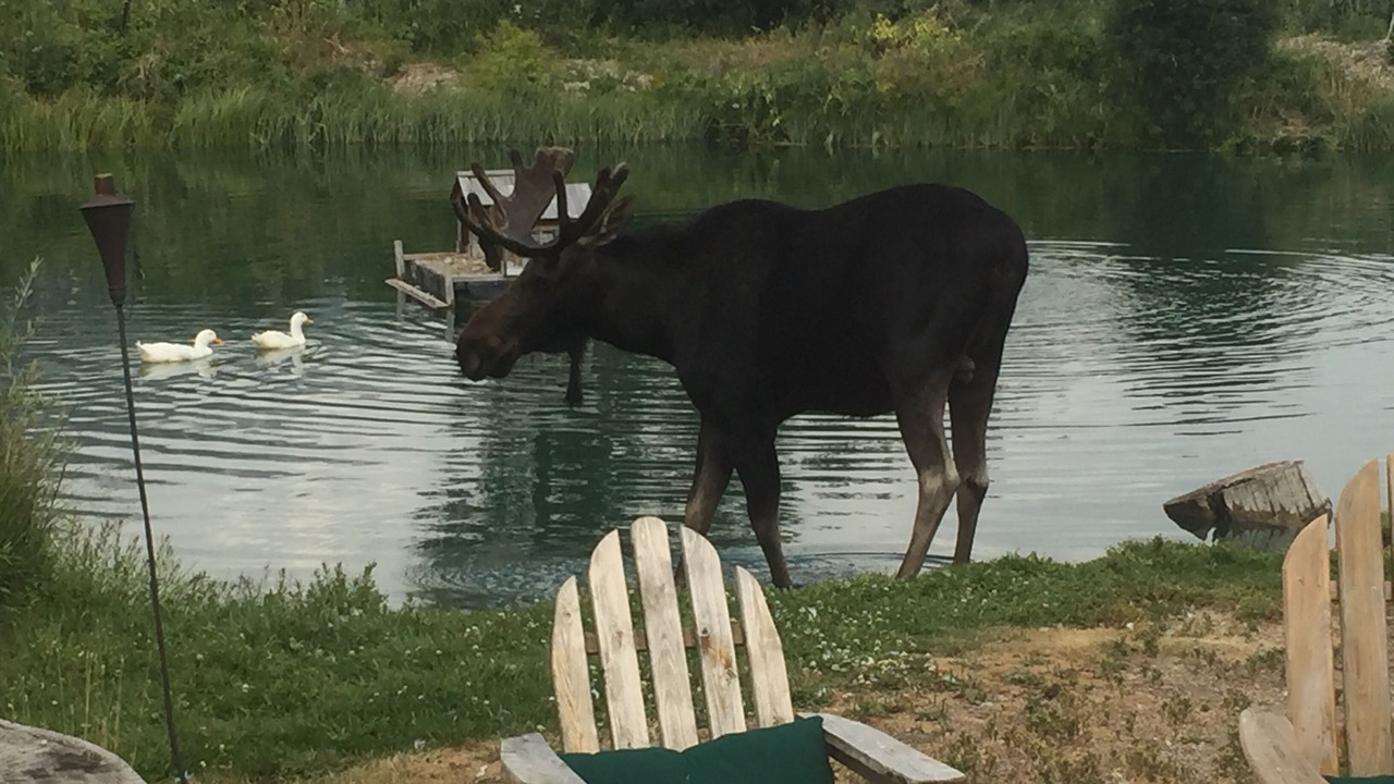 Photo of Others in Wilson