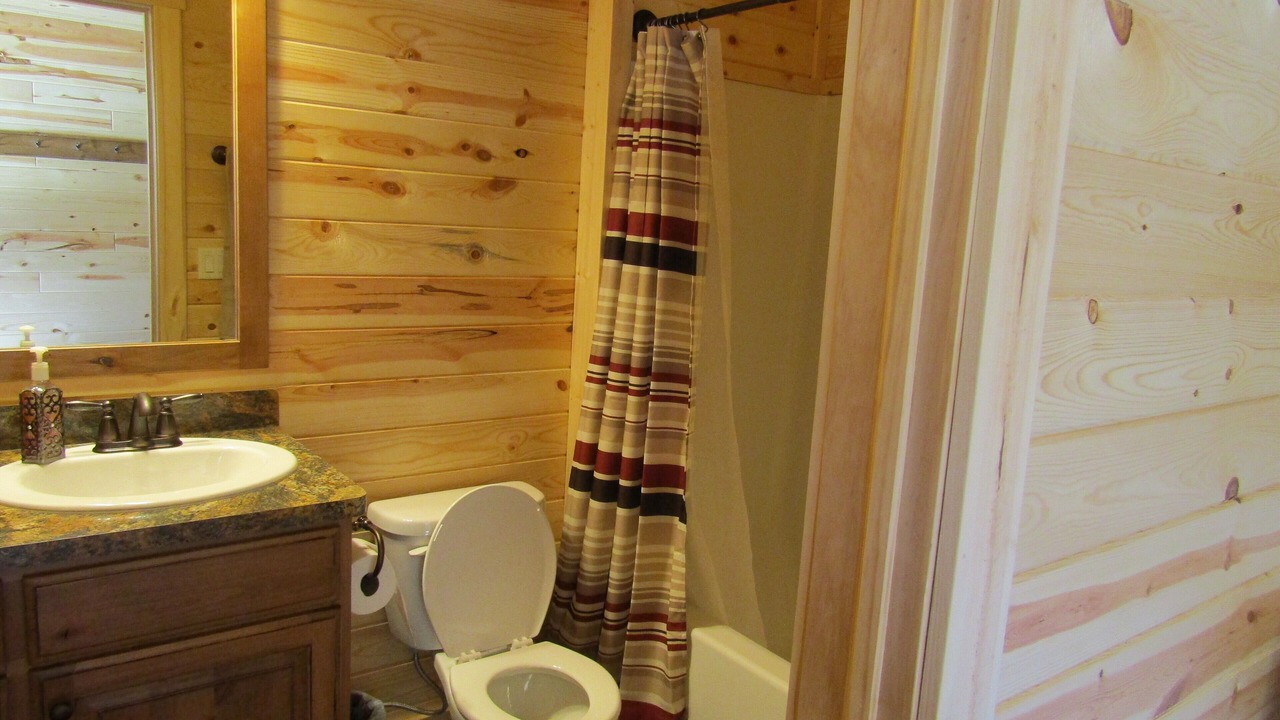 Photo of Bathroom in Island Park