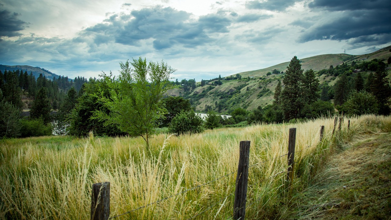 Photo of Outdoor in Lenore