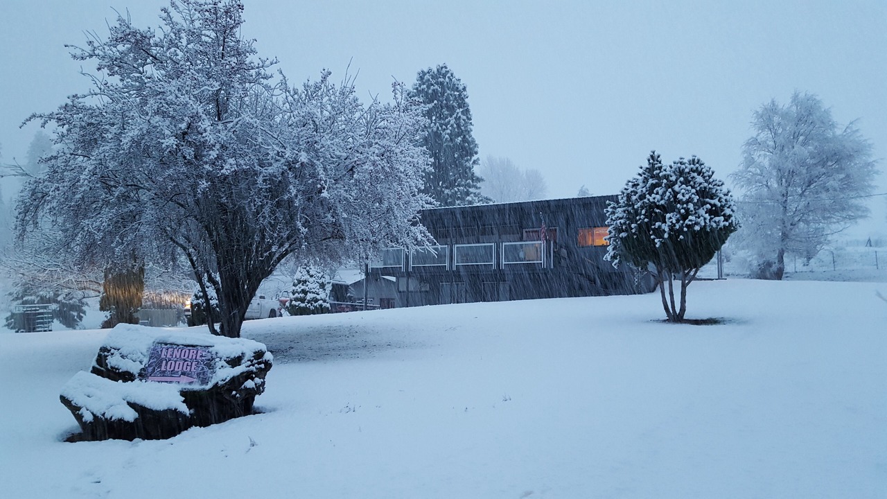 Photo of Others in Lenore