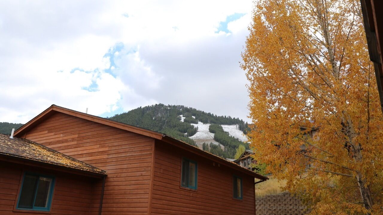 Photo of Outdoor in Jackson