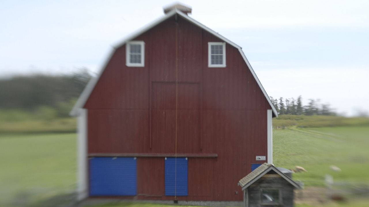 Photo of Outdoor in Coupeville