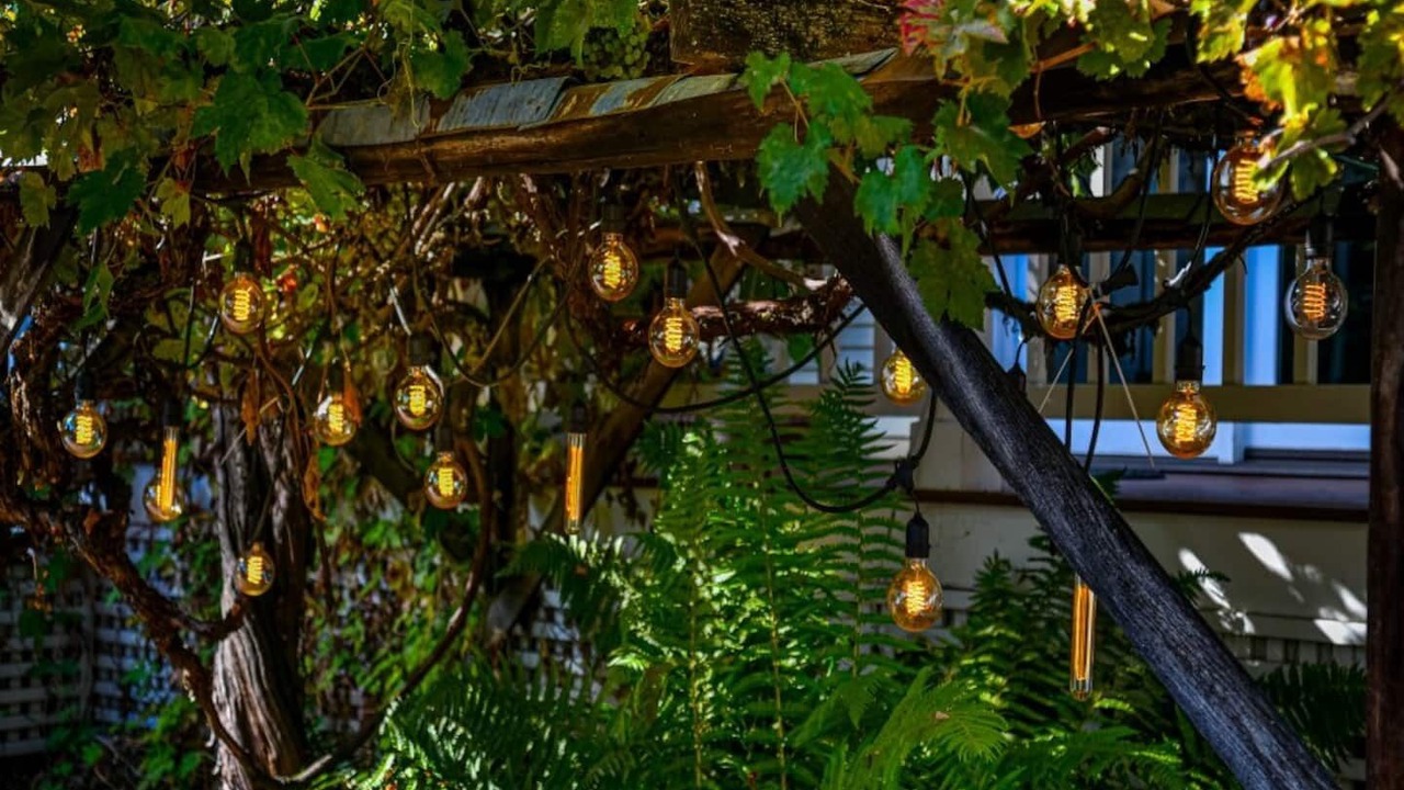 Photo of Outdoor in Jacksonville