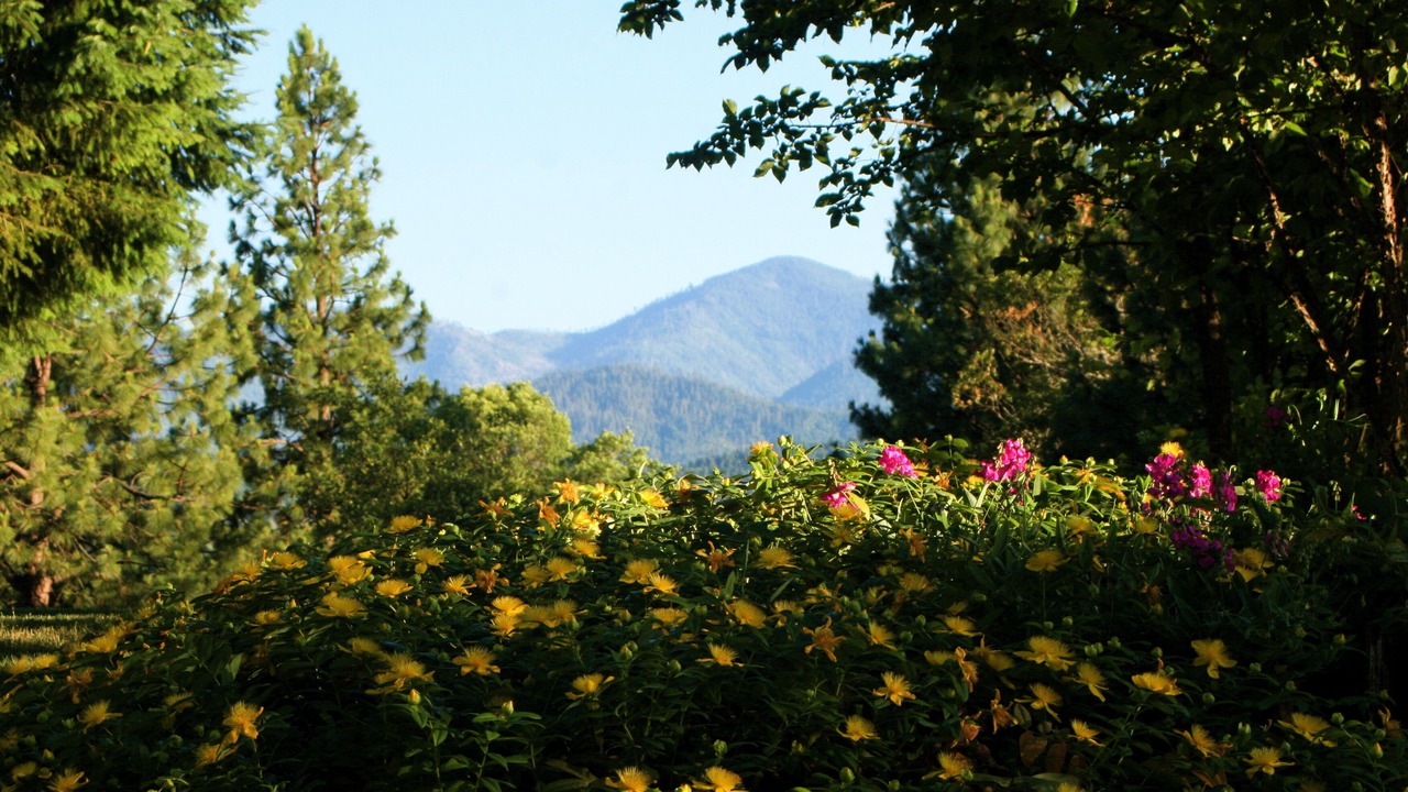 Photo of Others in Grants Pass