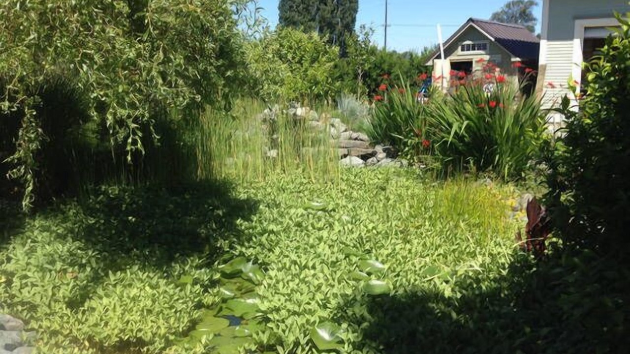 Photo of Others in Stanwood