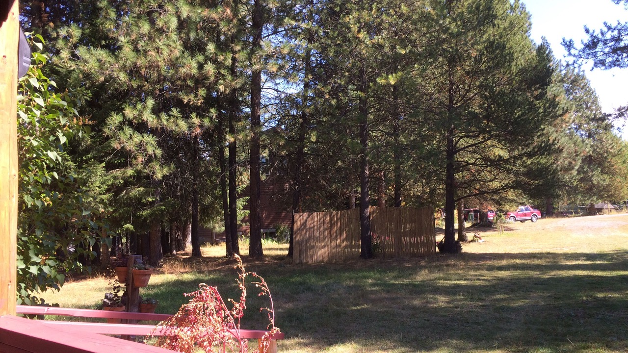 Photo of Others in Bonners Ferry