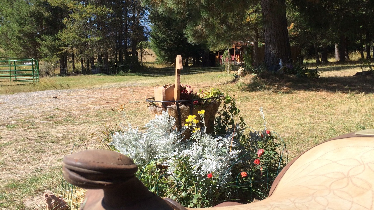 Photo of Others in Bonners Ferry