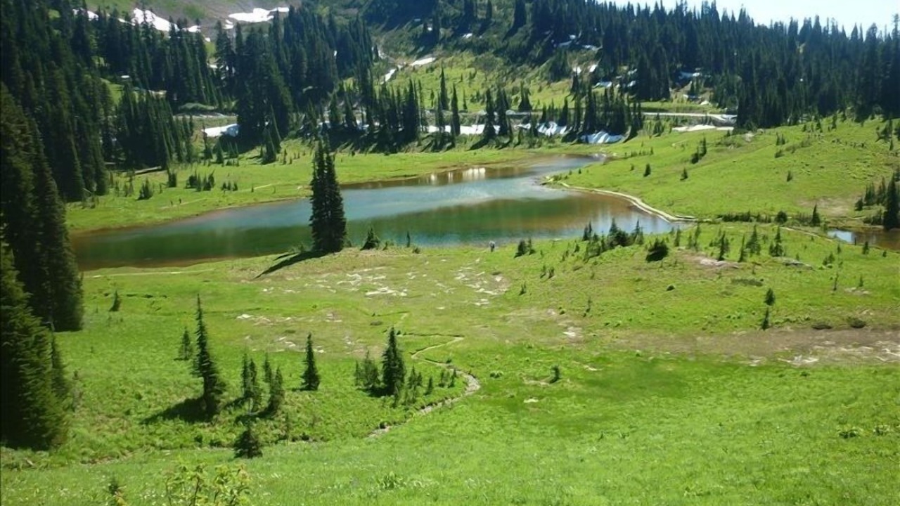Photo of Outdoor in Enumclaw