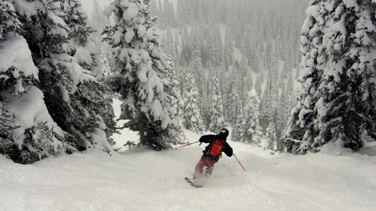 Photo of Others in Enumclaw