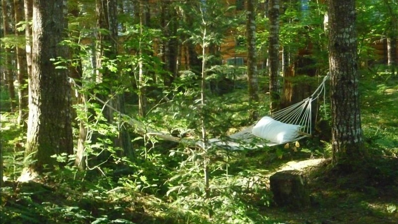 Photo of Others in Enumclaw