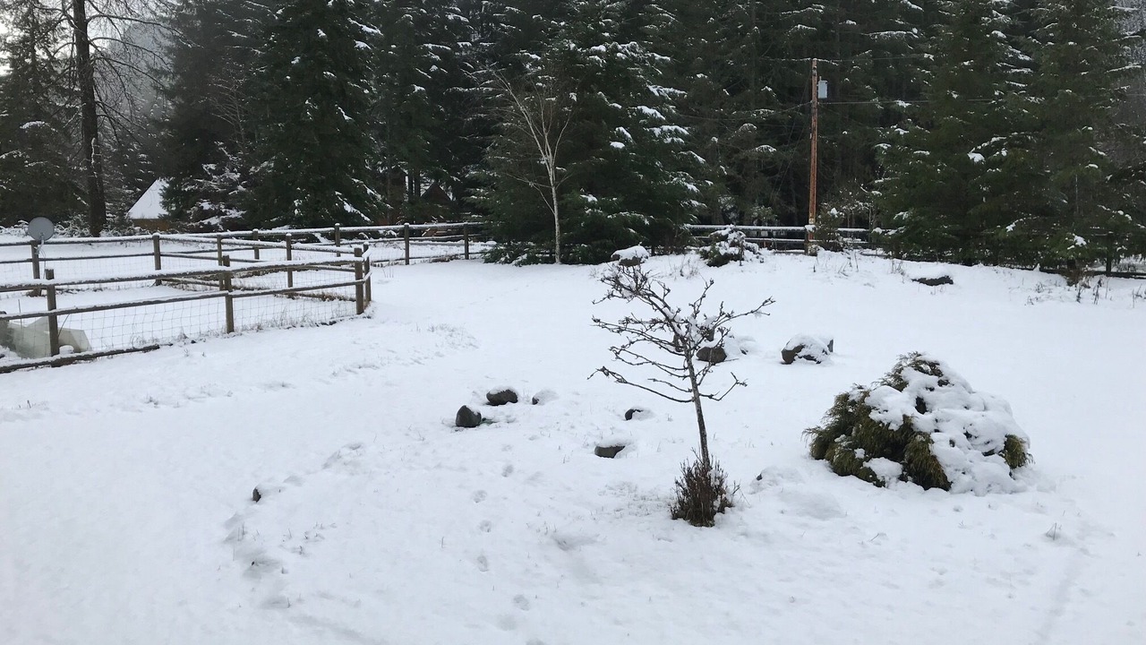 Photo of Others in Enumclaw