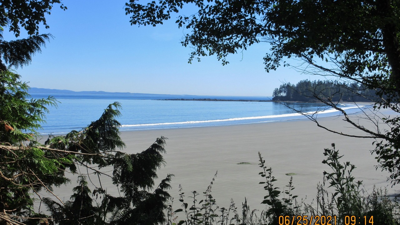Photo of Others in Port Angeles