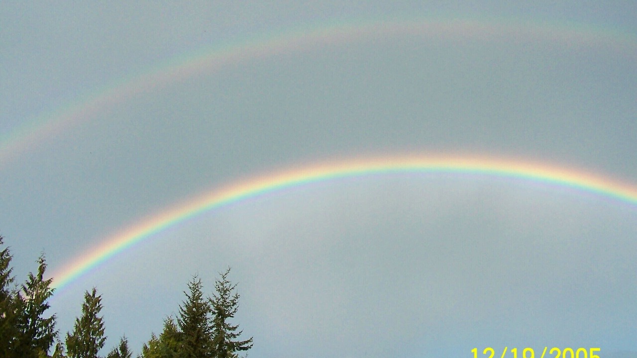 Photo of Others in Port Angeles