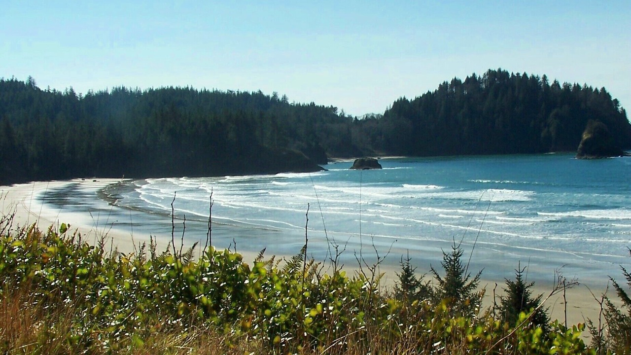 Photo of Others in Port Angeles