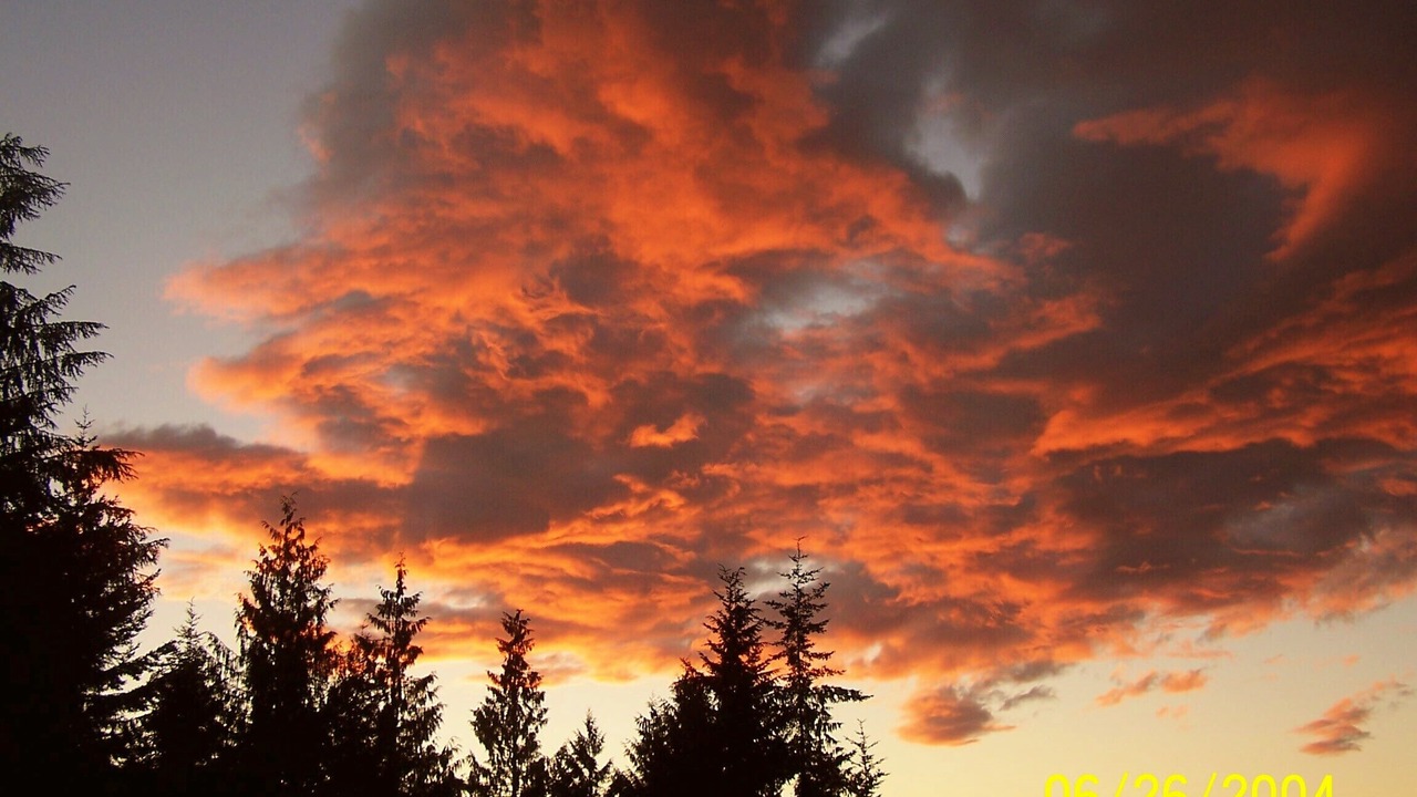 Photo of Others in Port Angeles