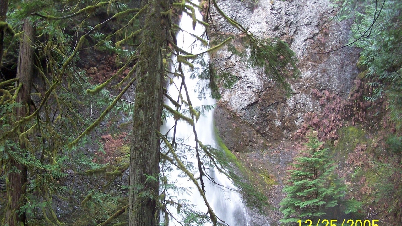Photo of Others in Port Angeles