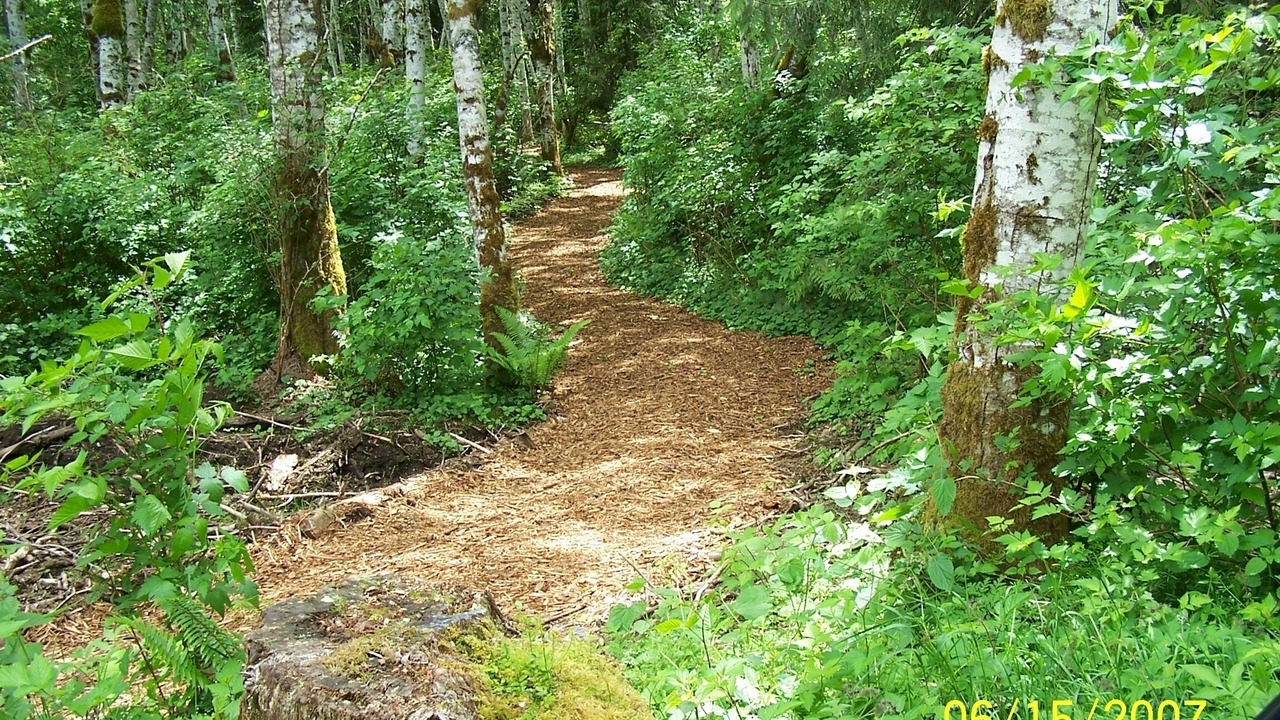 Photo of Others in Port Angeles