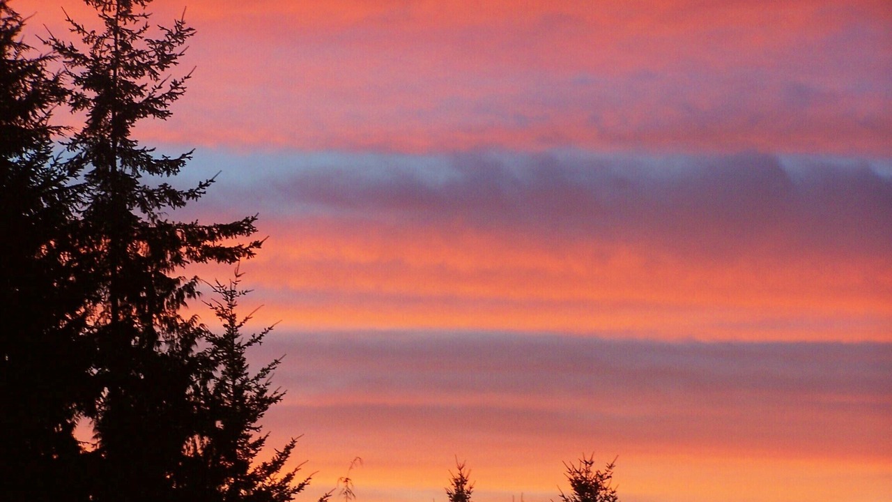 Photo of Others in Port Angeles
