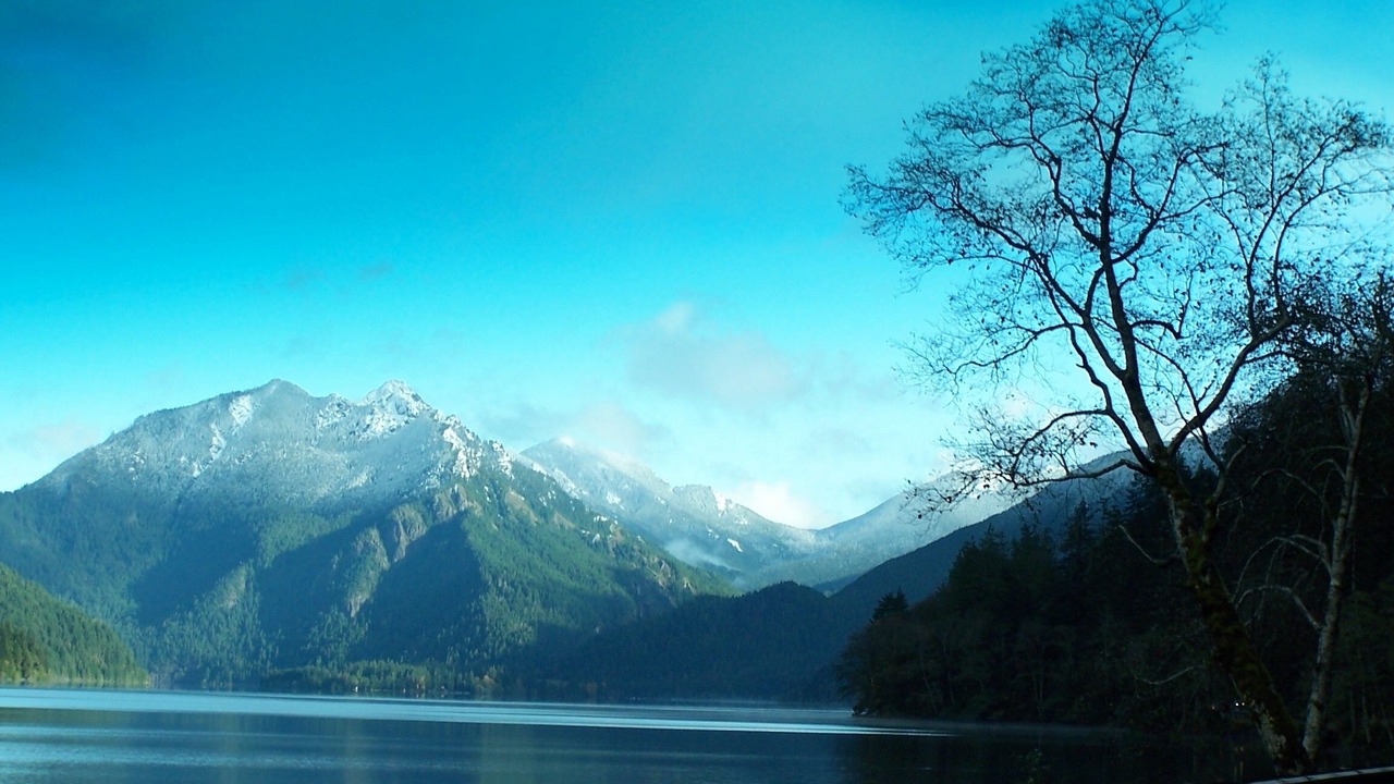 Photo of Outdoor in Port Angeles