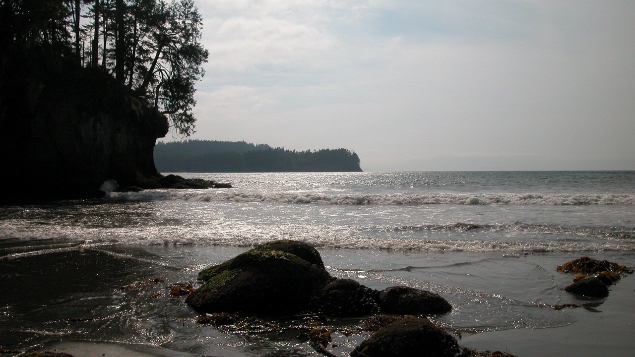 Photo of Others in Port Angeles